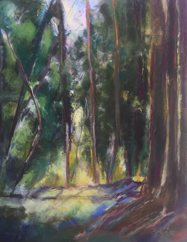 Redwood Forest by artist Sherry Fields